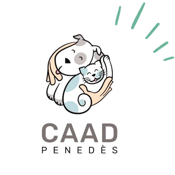 Logo colaborador CAAD penedes