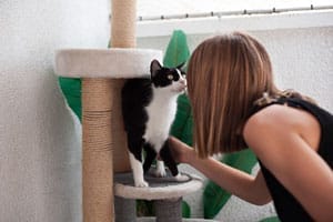 petsitter profesional en cunit